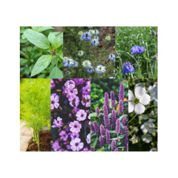 http://loja.quercus.pt/269-447-thickbox/mix-flores-para-as-borboletas.jpg